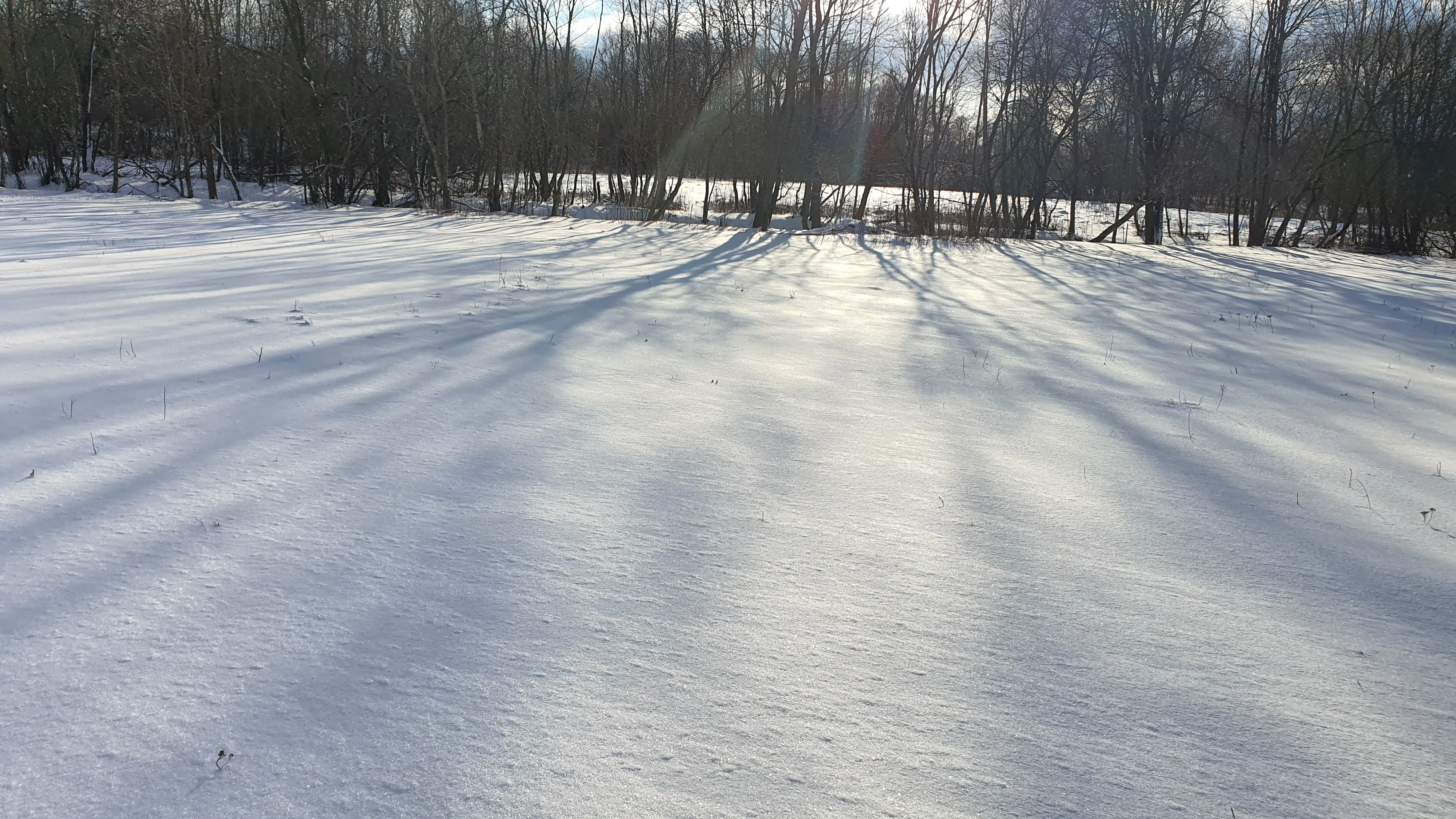 Candidate for Winter 1.